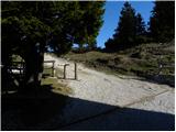 Kraljev hrib - Gradišče (Velika planina)